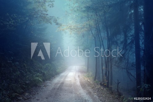 Picture of Dreamy evening autumn color foggy forest road Scary dark blue green colored countryside woodland